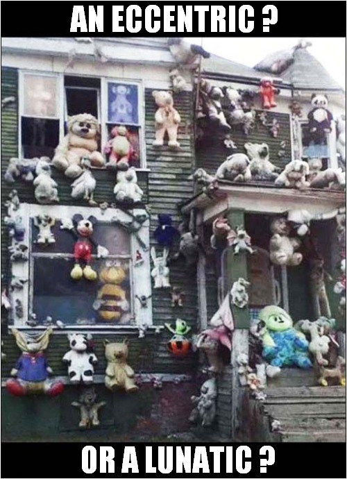 Who Lives In A House Like This ? | AN ECCENTRIC ? OR A LUNATIC ? | image tagged in house,stuffed animal,you decide | made w/ Imgflip meme maker