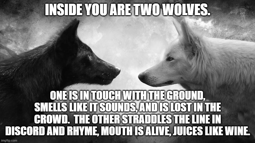 You have two wolves | INSIDE YOU ARE TWO WOLVES. ONE IS IN TOUCH WITH THE GROUND, SMELLS LIKE IT SOUNDS, AND IS LOST IN THE CROWD.  THE OTHER STRADDLES THE LINE IN DISCORD AND RHYME, MOUTH IS ALIVE, JUICES LIKE WINE. | image tagged in you have two wolves | made w/ Imgflip meme maker