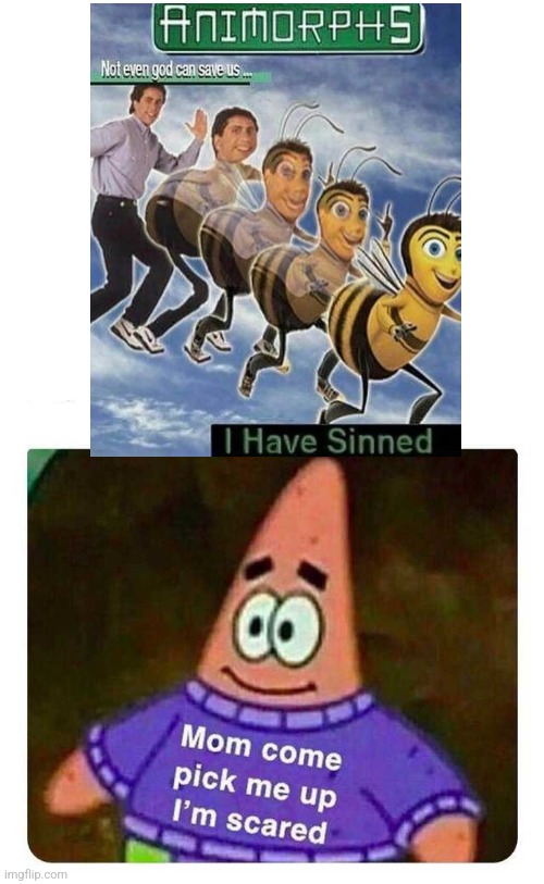 image tagged in patrick mom come pick me up i'm scared,bees,spongebob | made w/ Imgflip meme maker