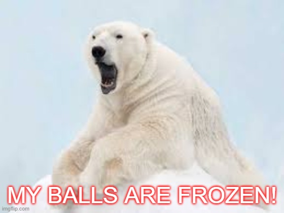 Frozen Treats | MY BALLS ARE FROZEN! | image tagged in frozen,balls,polar bear | made w/ Imgflip meme maker