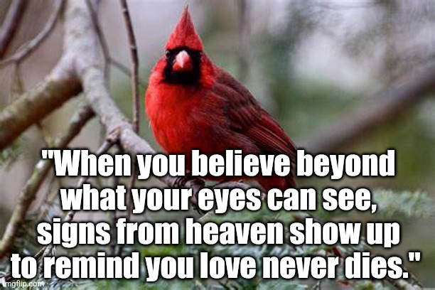 Signs from Heaven | "When you believe beyond what your eyes can see, signs from heaven show up to remind you love never dies."  | image tagged in loss,grief,inspiration | made w/ Imgflip meme maker