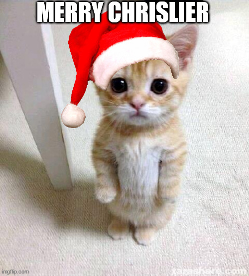 Cute Cat | MERRY CHRISLIER | image tagged in memes,cute cat | made w/ Imgflip meme maker