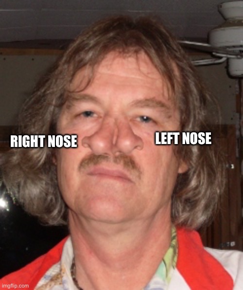 LEFT NOSE RIGHT NOSE | made w/ Imgflip meme maker