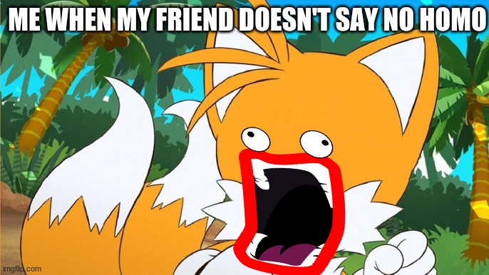 no homo guys | ME WHEN MY FRIEND DOESN'T SAY NO HOMO | image tagged in draw a face on tails | made w/ Imgflip meme maker