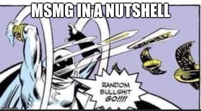 Random Bullshit Go | MSMG IN A NUTSHELL | image tagged in random bullshit go | made w/ Imgflip meme maker