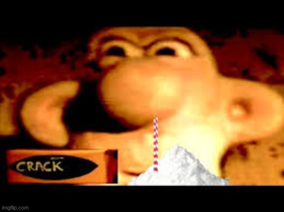 We forgot the crack | image tagged in wallace and gromit | made w/ Imgflip meme maker
