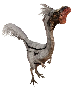Oviraptor 4 (JWD Design) Blank Meme Template