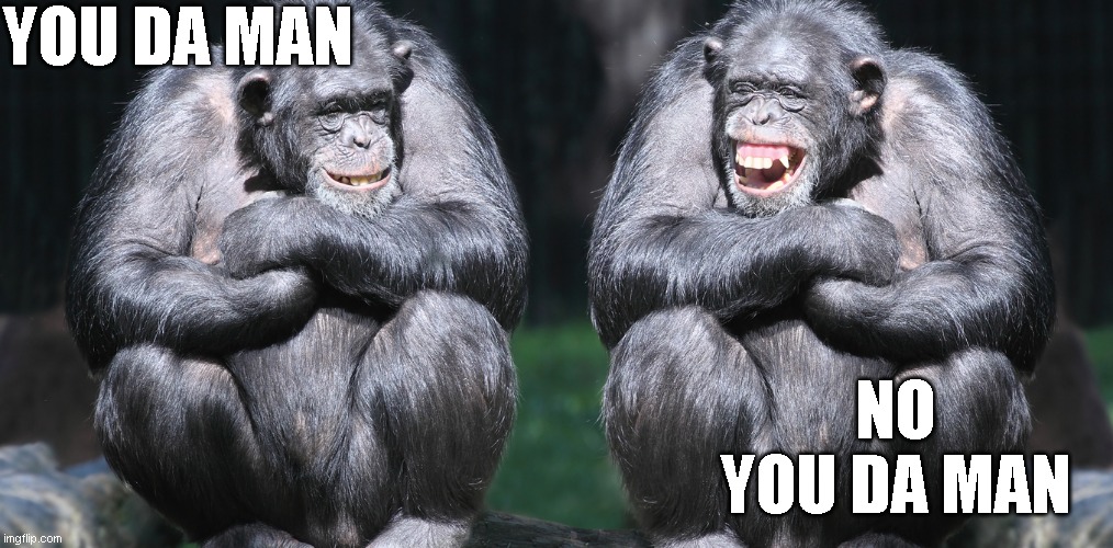 Chimp Life | YOU DA MAN; NO YOU DA MAN | image tagged in chimp life | made w/ Imgflip meme maker