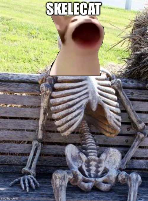 Waiting Skeleton | SKELECAT | image tagged in memes,waiting skeleton,cats,skeleton | made w/ Imgflip meme maker