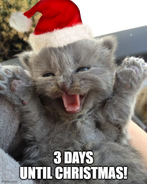 Wooooo yeah baby | 3 DAYS UNTIL CHRISTMAS! | image tagged in cat,christmas,yay,memes,yipee | made w/ Imgflip meme maker