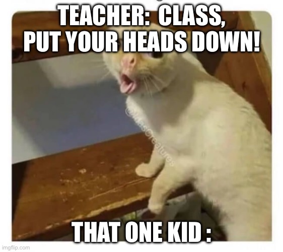It's really annoying | TEACHER:  CLASS, PUT YOUR HEADS DOWN! THAT ONE KID : | image tagged in memes,coughing,annoying,coughing cat | made w/ Imgflip meme maker