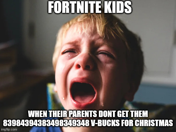 Christmas is in 3 days and I just wanted to make fun of fortnite kids | FORTNITE KIDS; WHEN THEIR PARENTS DONT GET THEM 83984394383498349348 V-BUCKS FOR CHRISTMAS | image tagged in fortnite sucks | made w/ Imgflip meme maker