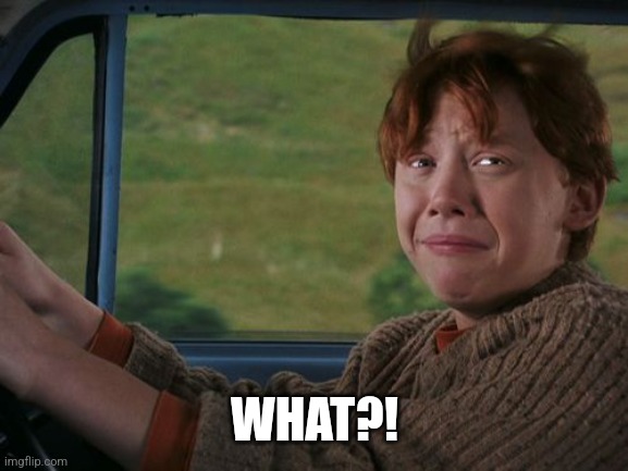 Ron Weasley flying car | WHAT?! | image tagged in ron weasley flying car | made w/ Imgflip meme maker