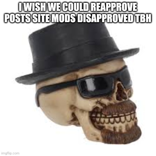 It's unfair tbh | I WISH WE COULD REAPPROVE POSTS SITE MODS DISAPPROVED TBH | image tagged in heisenbones | made w/ Imgflip meme maker