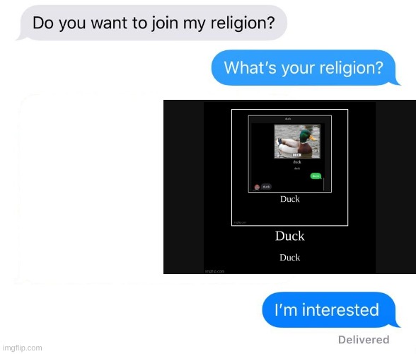 Duck | image tagged in whats your religion,duck | made w/ Imgflip meme maker