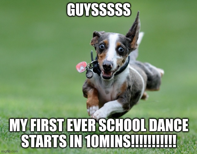 im excited af | GUYSSSSS; MY FIRST EVER SCHOOL DANCE STARTS IN 10MINS!!!!!!!!!!! | image tagged in excited | made w/ Imgflip meme maker