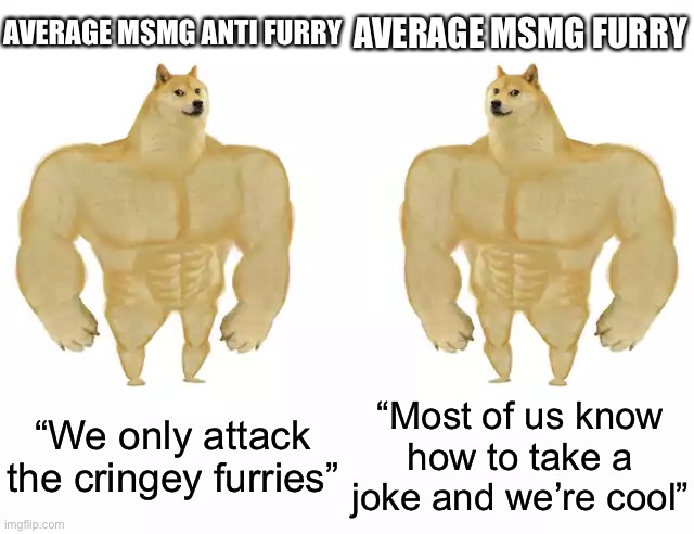 Stop fucking arguing youre both good | AVERAGE MSMG ANTI FURRY; AVERAGE MSMG FURRY; “We only attack the cringey furries”; “Most of us know how to take a joke and we’re cool” | image tagged in buff doge vs buff doge | made w/ Imgflip meme maker