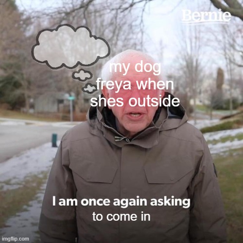 my dog freya be like! | my dog freya when shes outside; to come in | image tagged in memes,bernie i am once again asking for your support,dog | made w/ Imgflip meme maker