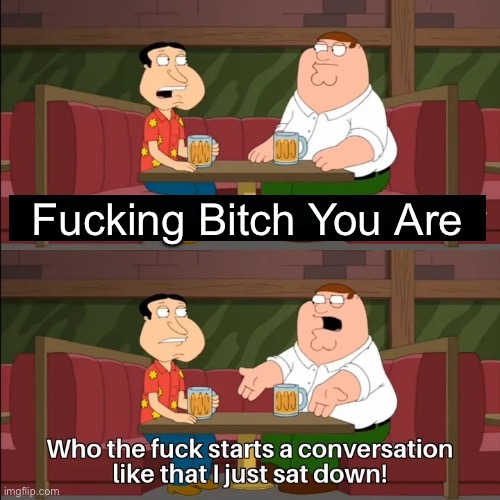 Who the f**k starts a conversation like that I just sat down! | Fucking Bitch You Are | image tagged in who the f k starts a conversation like that i just sat down | made w/ Imgflip meme maker