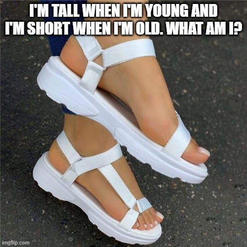 I'M TALL WHEN I'M YOUNG AND I'M SHORT WHEN I'M OLD. WHAT AM I? | image tagged in riddle | made w/ Imgflip meme maker