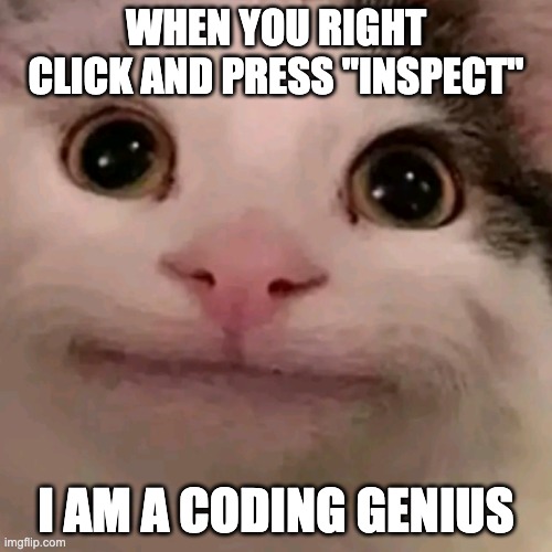 Beluga | WHEN YOU RIGHT CLICK AND PRESS "INSPECT"; I AM A CODING GENIUS | image tagged in beluga | made w/ Imgflip meme maker