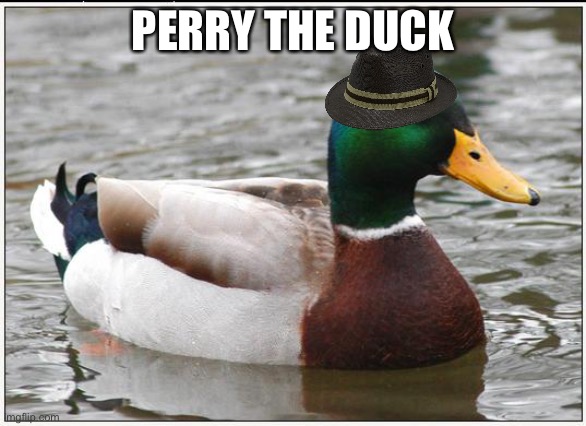 Actual Advice Mallard Meme | PERRY THE DUCK | image tagged in memes,actual advice mallard,perry the platypus,ducks | made w/ Imgflip meme maker