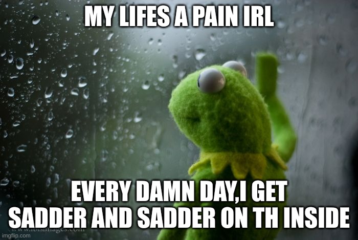 kermit window | MY LIFES A PAIN IRL; EVERY DAMN DAY,I GET SADDER AND SADDER ON TH INSIDE | image tagged in kermit window | made w/ Imgflip meme maker