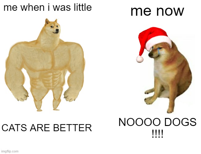 Buff Doge vs. Cheems Meme | me when i was little me now CATS ARE BETTER NOOOO DOGS
!!!! | image tagged in memes,buff doge vs cheems | made w/ Imgflip meme maker