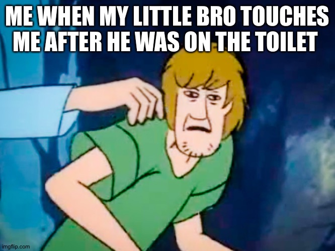 Shaggy meme | ME WHEN MY LITTLE BRO TOUCHES ME AFTER HE WAS ON THE TOILET | image tagged in shaggy meme | made w/ Imgflip meme maker