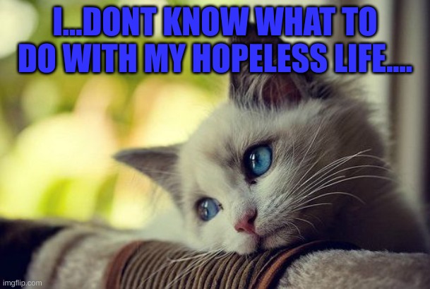 First World Problems Cat | I...DONT KNOW WHAT TO DO WITH MY HOPELESS LIFE.... | image tagged in memes,first world problems cat | made w/ Imgflip meme maker