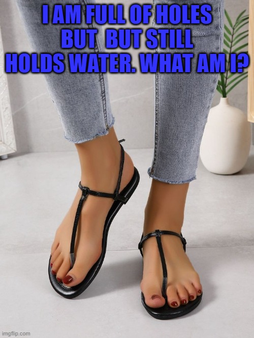 I AM FULL OF HOLES BUT  BUT STILL HOLDS WATER. WHAT AM I? | image tagged in riddle | made w/ Imgflip meme maker