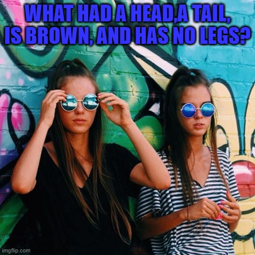 WHAT HAD A HEAD,A TAIL, IS BROWN, AND HAS NO LEGS? | image tagged in riddle | made w/ Imgflip meme maker