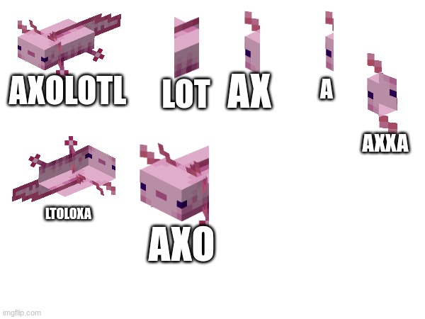 axolotl meme | A; LOT; AX; AXOLOTL; AXXA; AXO; LTOLOXA | image tagged in minecraft | made w/ Imgflip meme maker