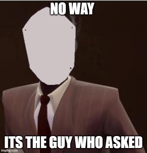 OMG GUYS LOOK | NO WAY; ITS THE GUY WHO ASKED | image tagged in custom spy mask | made w/ Imgflip meme maker
