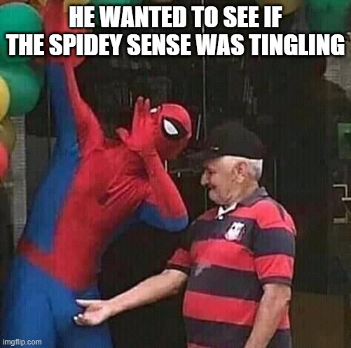 Touching | HE WANTED TO SEE IF THE SPIDEY SENSE WAS TINGLING | image tagged in spider man | made w/ Imgflip meme maker