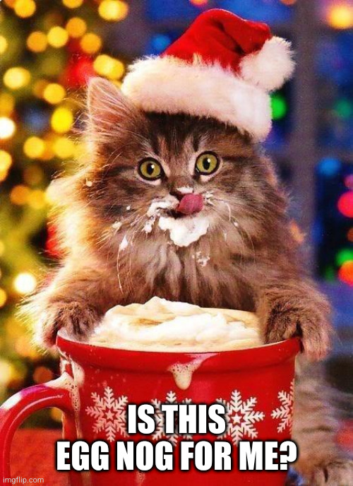 Santa's little helper | IS THIS EGG NOG FOR ME? | image tagged in christmas-cat,cat,cat meme | made w/ Imgflip meme maker