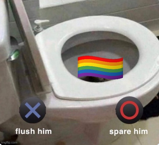 prove that msmg is homophobic speedrun any% | image tagged in x flush him o spare him | made w/ Imgflip meme maker
