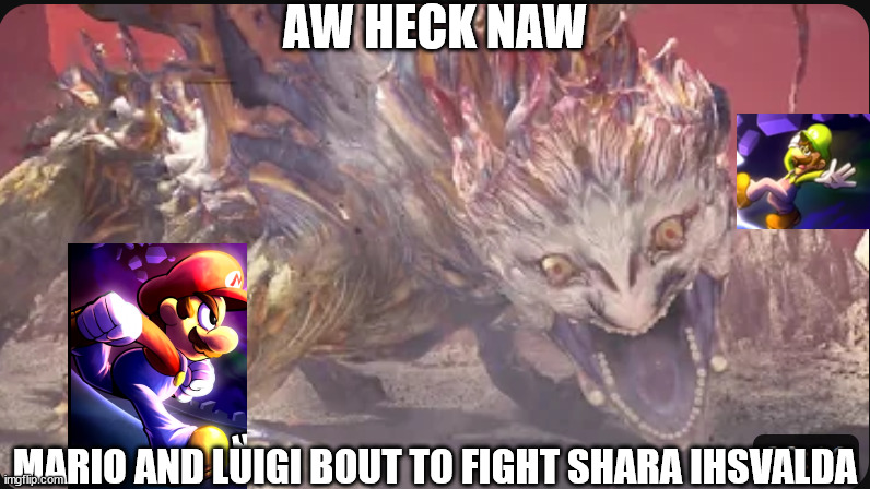 somehow i made this work | AW HECK NAW; MARIO AND LUIGI BOUT TO FIGHT SHARA IHSVALDA | image tagged in mario and luigi,monster hunter | made w/ Imgflip meme maker
