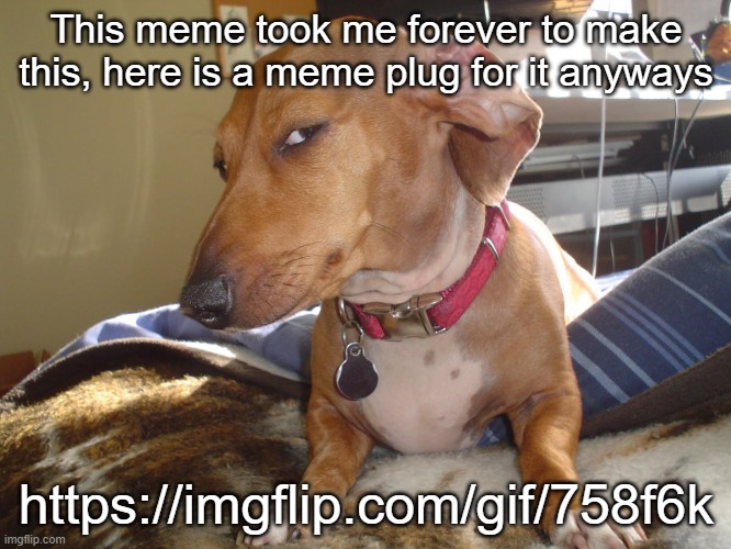 Suspicious Dog | This meme took me forever to make this, here is a meme plug for it anyways; https://imgflip.com/gif/758f6k | made w/ Imgflip meme maker