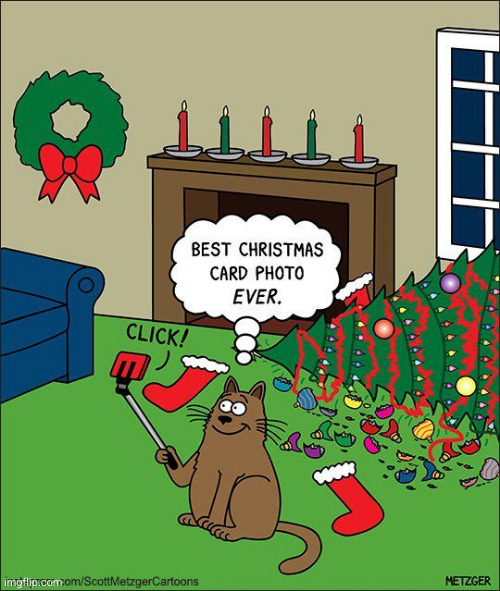 Just like what a cat would do | image tagged in cat,cartoon,comics,christmas tree | made w/ Imgflip meme maker
