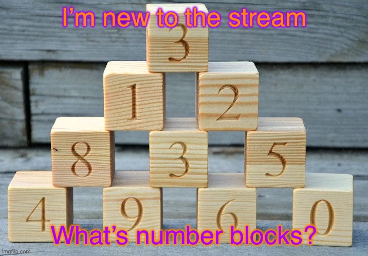 LOL | I’m new to the stream; What’s number blocks? | image tagged in lolbit | made w/ Imgflip meme maker