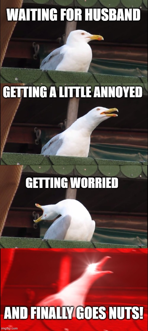 Inhaling Seagull | WAITING FOR HUSBAND; GETTING A LITTLE ANNOYED; GETTING WORRIED; AND FINALLY GOES NUTS! | image tagged in memes,bird | made w/ Imgflip meme maker