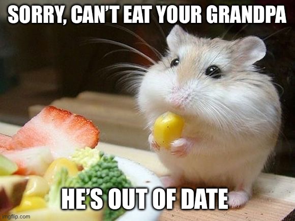 SORRY, CAN’T EAT YOUR GRANDPA; HE’S OUT OF DATE | image tagged in nom nom nom | made w/ Imgflip meme maker