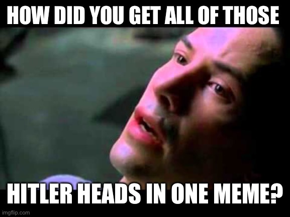 Neo kung fu | HOW DID YOU GET ALL OF THOSE HITLER HEADS IN ONE MEME? | image tagged in neo kung fu | made w/ Imgflip meme maker