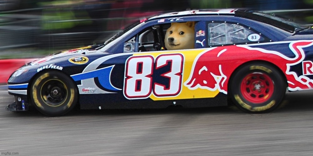 Race car doge  | image tagged in race car doge | made w/ Imgflip meme maker