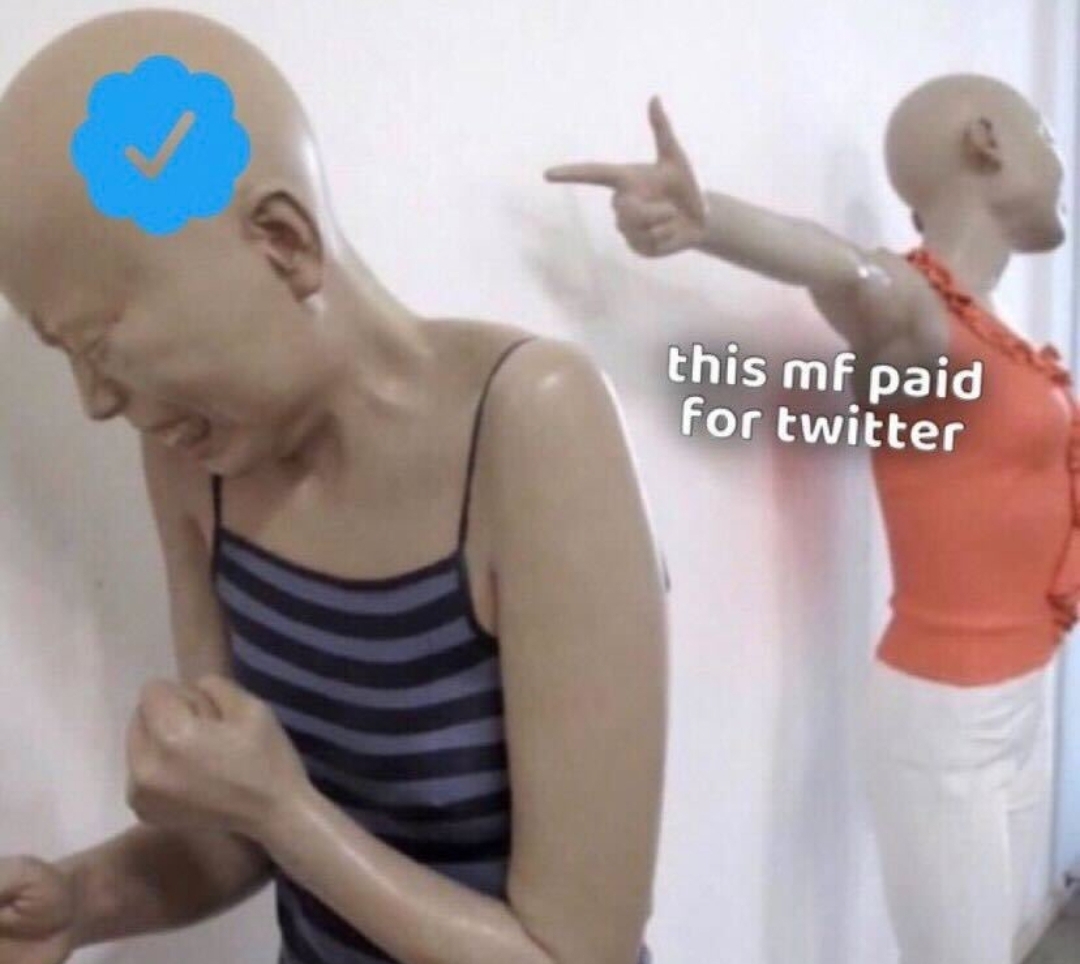 High Quality Twitter paid Blank Meme Template