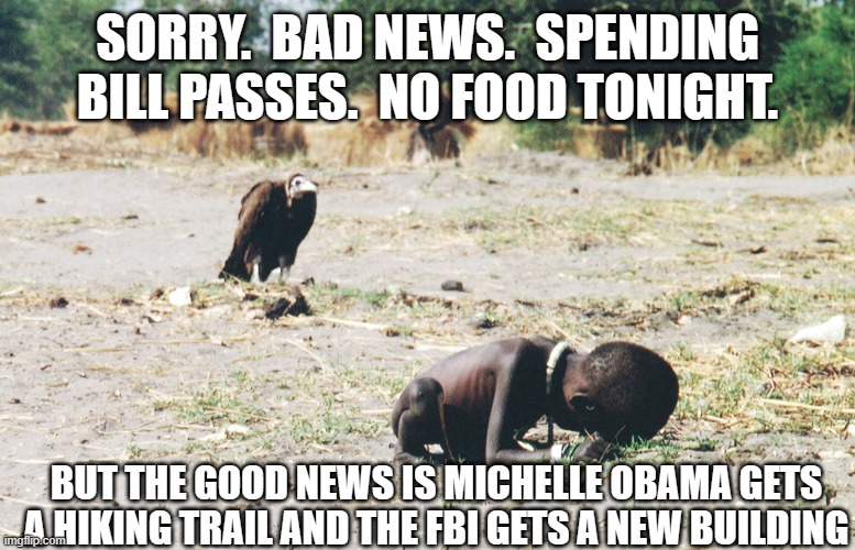 OMNIBUS | SORRY.  BAD NEWS.  SPENDING BILL PASSES.  NO FOOD TONIGHT. BUT THE GOOD NEWS IS MICHELLE OBAMA GETS A HIKING TRAIL AND THE FBI GETS A NEW BUILDING | image tagged in starving child and vulture | made w/ Imgflip meme maker
