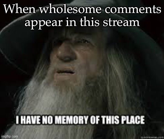 Wholesome comments | When wholesome comments appear in this stream | image tagged in i have no memory of this place,wholesome,comments | made w/ Imgflip meme maker
