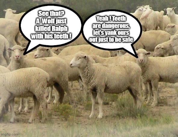 Tooth Control ? Teeth Free Zones ?? | See that? A  Wolf just killed Ralph with his teeth ! Yeah ! Teeth are dangerous, let's yank ours out just to be safe | image tagged in sheep will be sheep will be dems | made w/ Imgflip meme maker