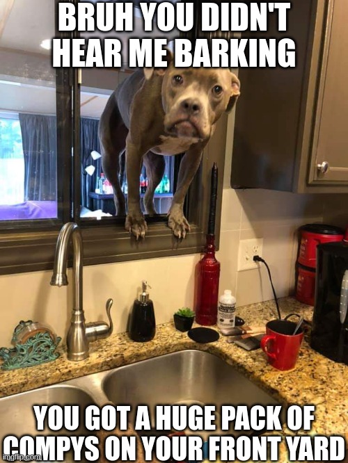 Dog in window | BRUH YOU DIDN'T HEAR ME BARKING; YOU GOT A HUGE PACK OF COMPYS ON YOUR FRONT YARD | image tagged in dog in window,jurassic park,jurassic world,dinosaur | made w/ Imgflip meme maker